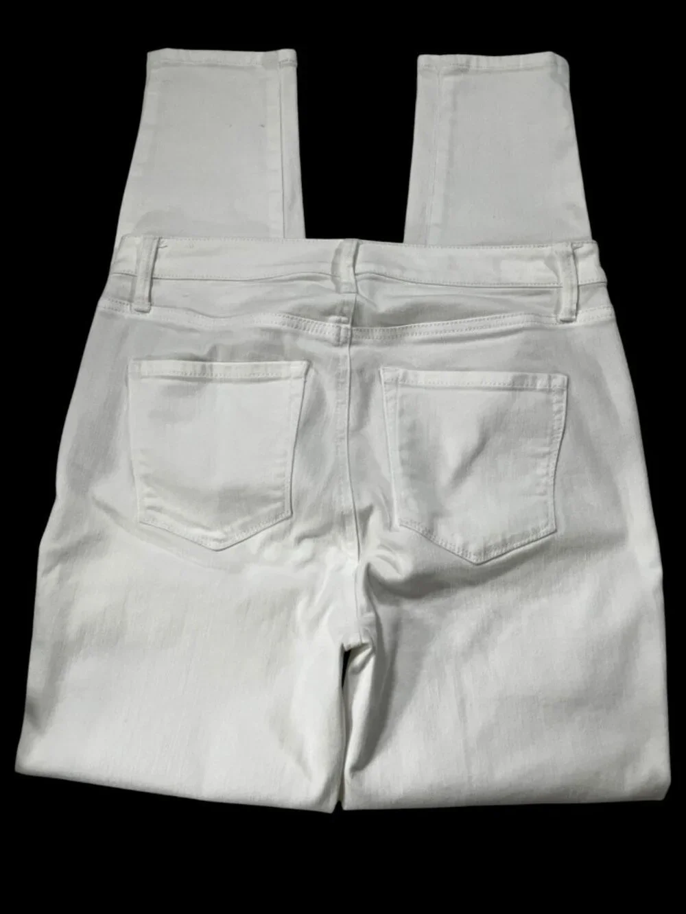 Talbots poly leg
